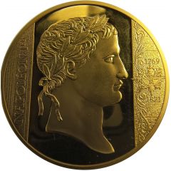Napoléon Ier, Les Plus Grands Français