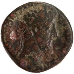 Sestertius - Commodus NOBILITAS AVG P M TR P XII IMP VIII COS V P P S C, Nobilitas