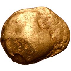 Stater Muschel Type Precursor