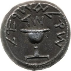 Sheqel Year 4