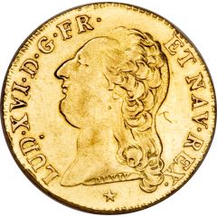 1 Louis d`Or - Louis XVI