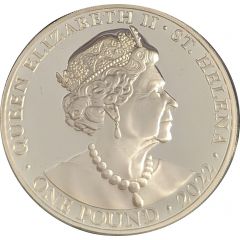 1 Pound - Elizabeth II Charity, gilding