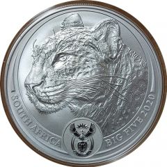 5 Rand The Big Five Series I - Leopard