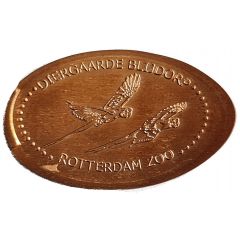 Blijdorp Zoo - Parrot