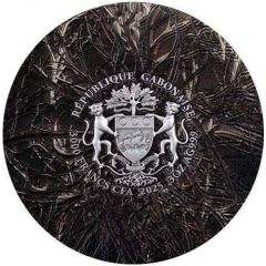 3000 Francs Greater Thorn Bird