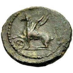 Quadrans - Anonymous S C