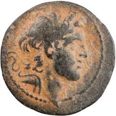Dichalkon - Alexander Apameia in Syria