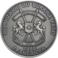 1000 Francs CFA Black Ammonoidea