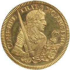 1 Rijksdaalder `Nederlandse Rijksdaalder` Dirck Bosch, gold