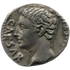 Denarius - Augustus OB CIVIS SERVATOS S P Q R CL V