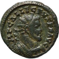 ALLECTUS - La Virilité VIRTVS AVG