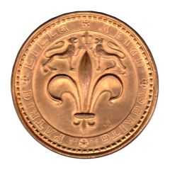Medal - Lille a bien mérité de la patrie
