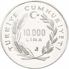 10 000 Lira International Year of Shelter for the Homeless