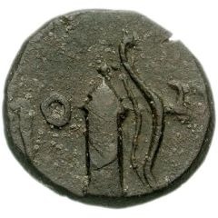 Æ21 - Tiberius