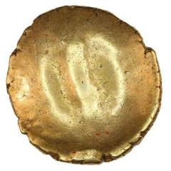 1/4 Stater Caesar`s Trophy / Early Trophy
