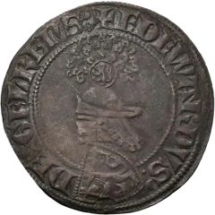 Groot `Schild / Helmgroot` - Edward