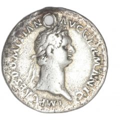Denarius - Domitian P M TR POT IIII IMP VIII COS XI P P, Minerva