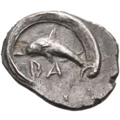 Hemilitra Zancle