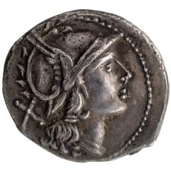 Denarius Dolphin, ROMA