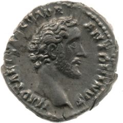 Denarius - Antoninus Pius AVG PIVS P M TR P COS II
