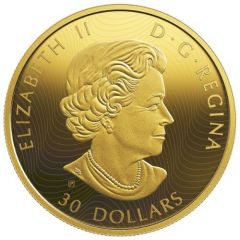 30 Dollars - Elizabeth II Orca and Sea Lions