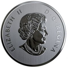 10 Dollars - Elizabeth II Year of the Rat