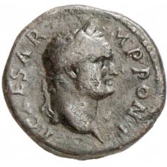 Æ - Titus S C, Judaea