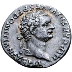 Denarius - Domitian TR P COS VII DES VIII P P