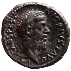 Denarius - Pescennius Niger SALVTI AVGVS, Salus