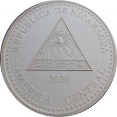 10 Córdobas Paslama Turtle