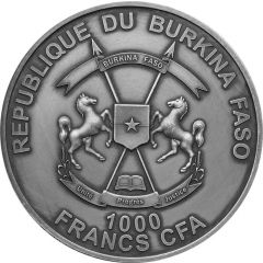 1000 Francs CFA Coelodonta - Mother