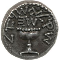 Sheqel Year 5