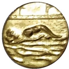 Token swimmer