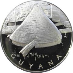 Medal - United Nations Guyana