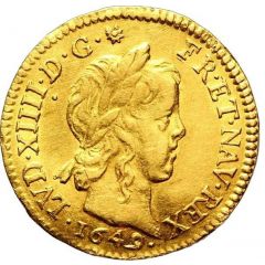 1/2 Louis d`or à la mèche longue