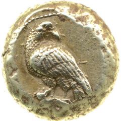 Stater