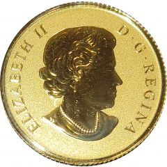 20 Dollars - Elizabeth II Canada`s Coat of Arms