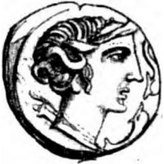 Drachm