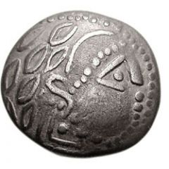 Tetradrachm Schnabelpferd type