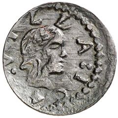 Denier Oliana