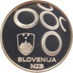 Medal - Slovenia at World Football Series in South Africa Slovenian Soccer Association
