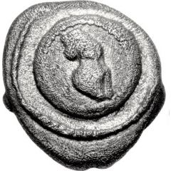 Trihemiobol