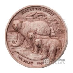 5000 Francs CFA King of the Arctic, reverse plaster pattern