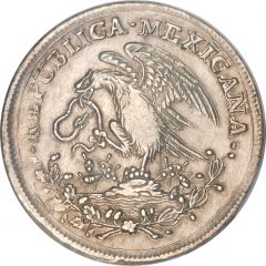 8 Reales Profile eagle