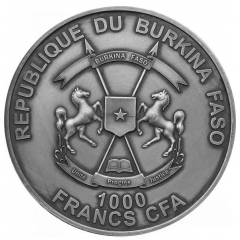1000 Francs CFA Coelodonta - Baby