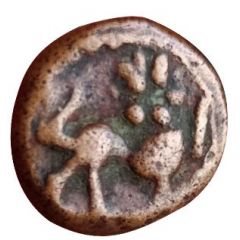1 Kasu - Nayakas Thanjavur