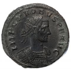 Antoninianus - Probus Cuirassed, right, PAX AVG, Pax