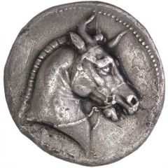 Tetradrachm - Seleukos I Nikator