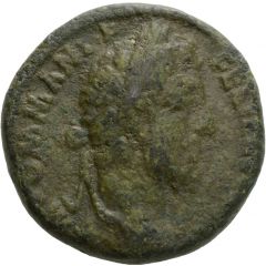 As - Commodus NOBILIT AVG P M TR P XII IMP VIII COS V P P S C, Nobilitas