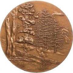 Jeton Comité de sauvegarde et de restauration des forêts